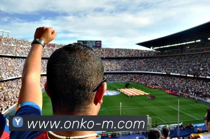 3344体育APP 封面图